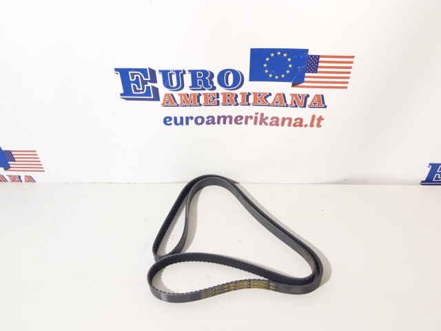 Serpentine Belt